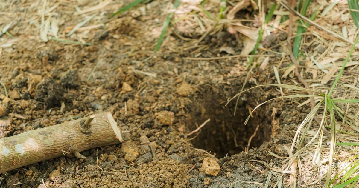 Soil Testing and Foundation Types for Kerala Sites